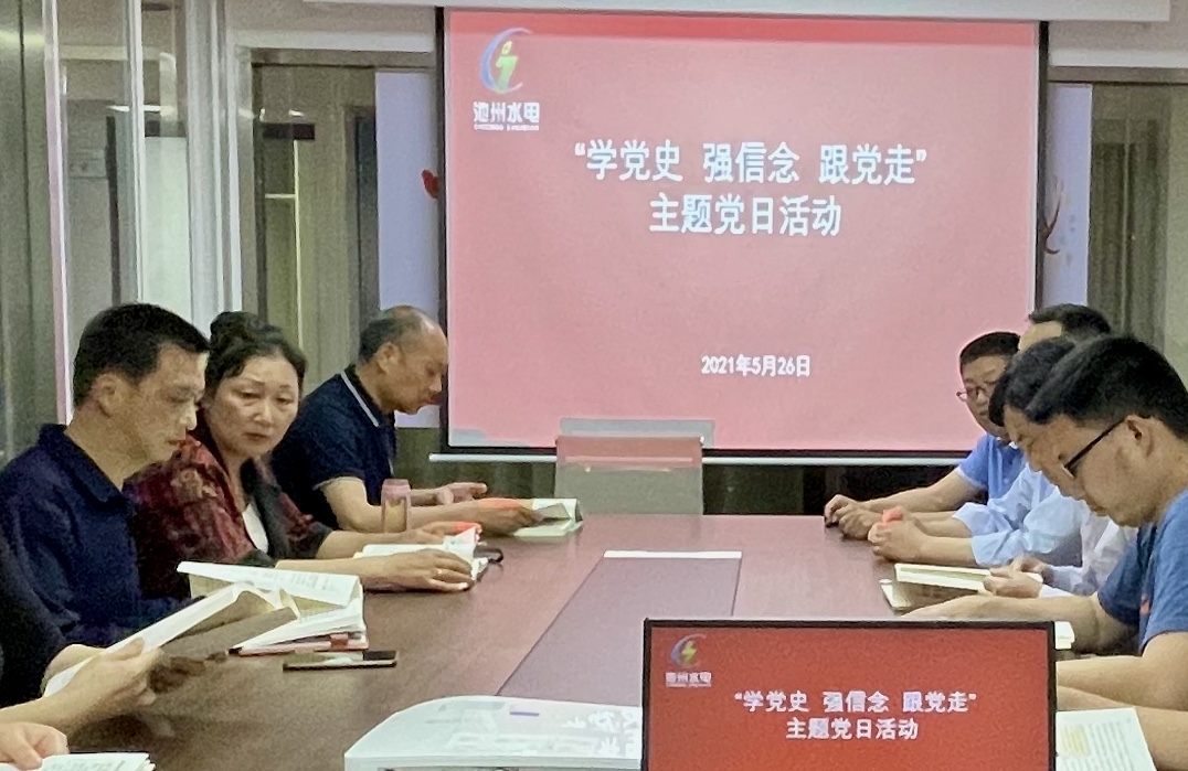 公司組織開展“學黨史、強信念、跟黨走” 主題黨日活動(圖1)