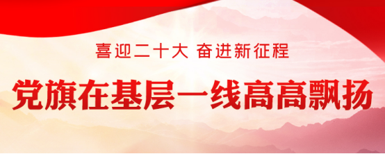 鑄造實現(xiàn)民族復(fù)興的先鋒力量——黨的十九大以來黨員教育工作邁出高質(zhì)量發(fā)展步伐